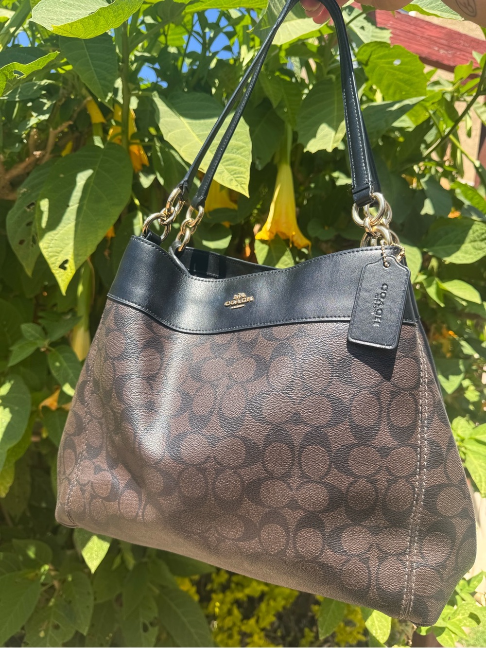 Coach Large Lexy Shoulder Bag in Signature Canvas